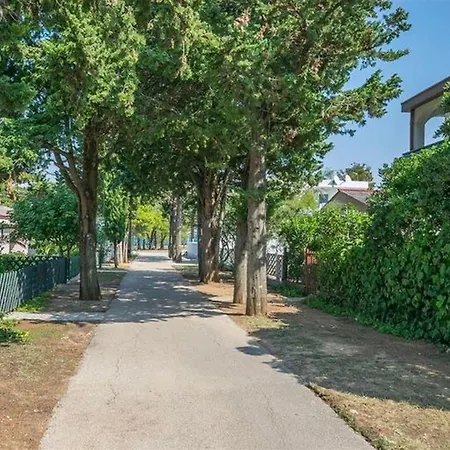 Ferienwohnung Fuer 4 Personen Ca 40 Qm In Privlaka, Dalmatien Norddalmatien